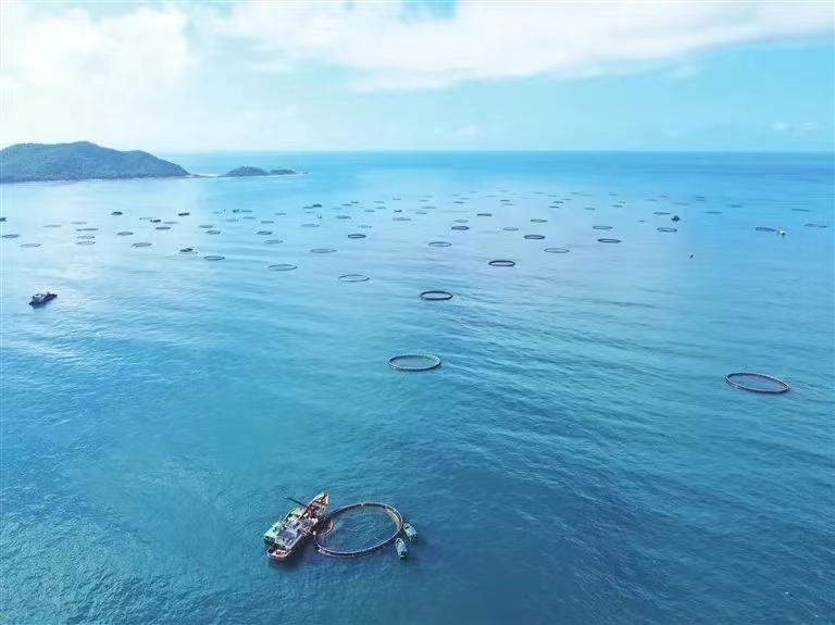 再攀新高！三亞農(nóng)投海洋產(chǎn)業(yè)有限公司成功入選海南省專(zhuān)精特新企業(yè)