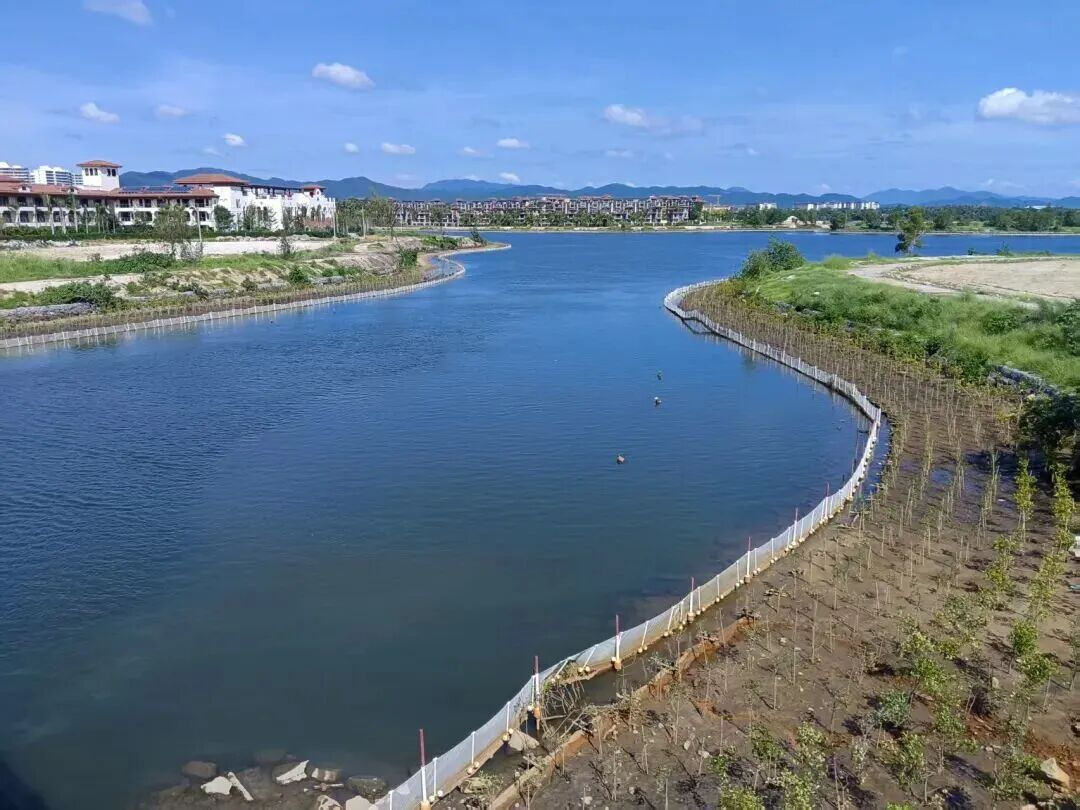 三亞環(huán)農(nóng)集團(tuán)：加力提速抓項目 全力以赴拼經(jīng)濟(jì)